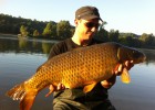 superbe commune de 10.5kg !! un bijou