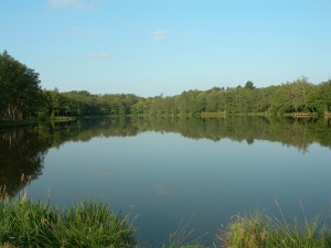 Domaine de la Grole