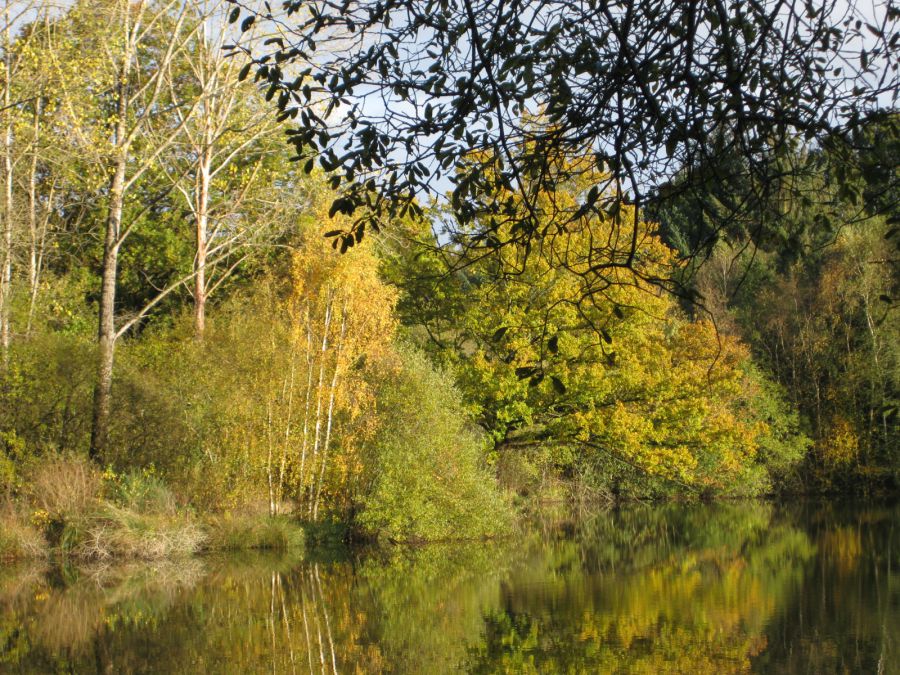 Etang des Claies