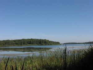 Lac de Madine