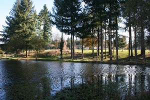 PÊCHE À LA CARPE EN VALLÉE DE LA DORDOGNE 24