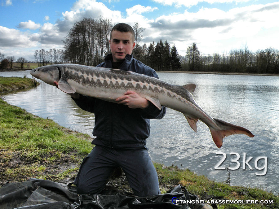 Etang de la Basse Morlière