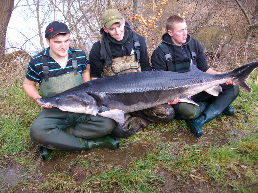 Etang du Moulin