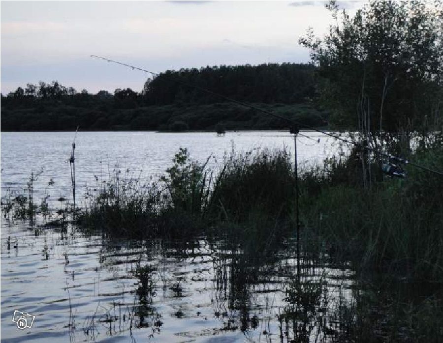 Etang de Paintourteau