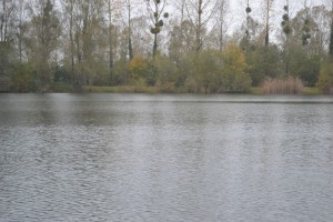 Amicale des Pêcheurs aux Blancs