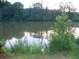 Etang du Neuweiher à Saint-Ulrich