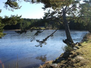 Etang de Vacheresse